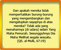 Takat Tausiah Singkat Allah Swt Maha Melihat