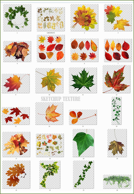 leaves png collection #1