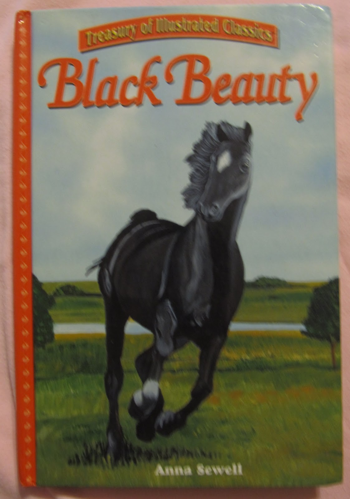 black beauty book essay black beauty book essay