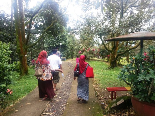 Fairus Salim Wisata ke Kebun Durian Warso Farm Bogor
