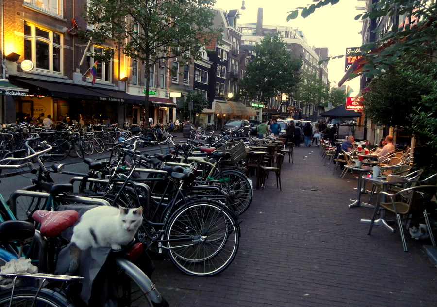 TRAVEL AND LIFESTYLE DIARIES Plateau Fruits de Mer at Lucius