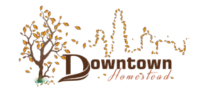 Downtown Homestead