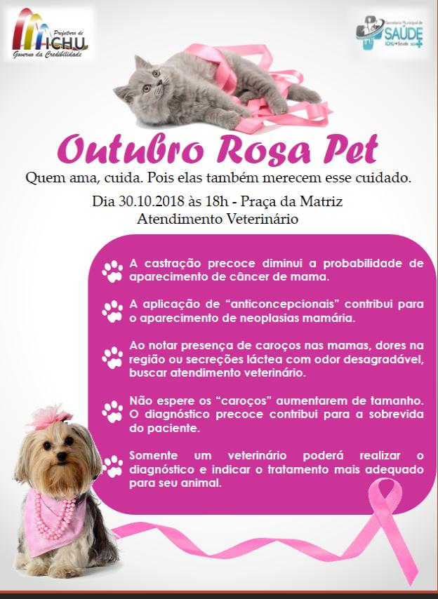 VEM AI O NOSSO OUTUBRO ROSA