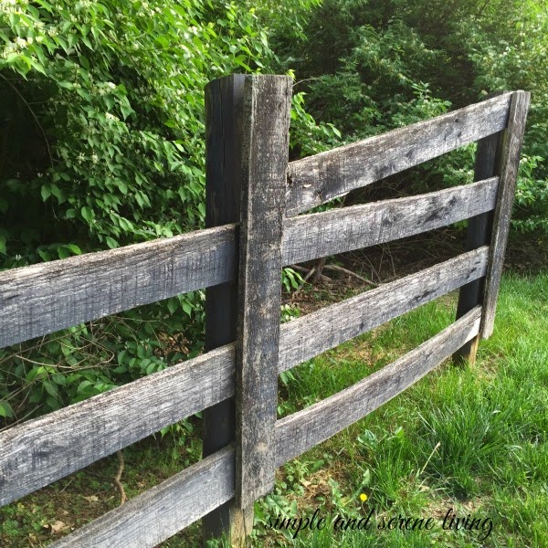 MENDING FENCES IN A BROKEN RELATIONSHIP
