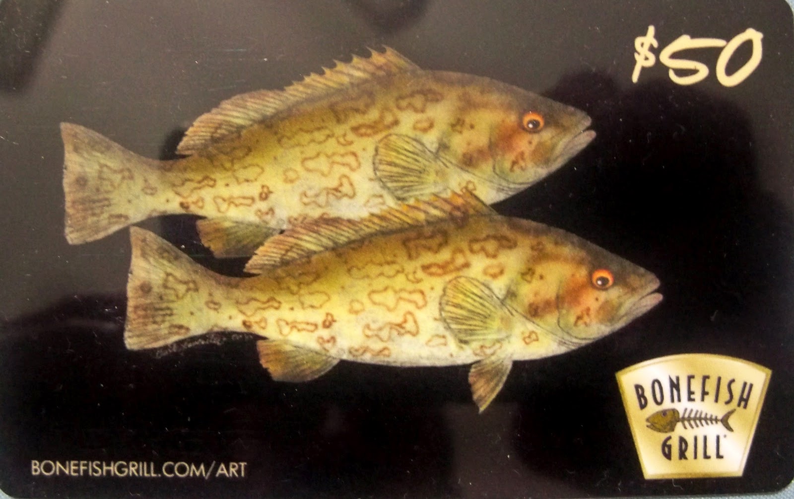 AUGUSTA Richmond Columbia Restaurant Bank Attorney Hospital