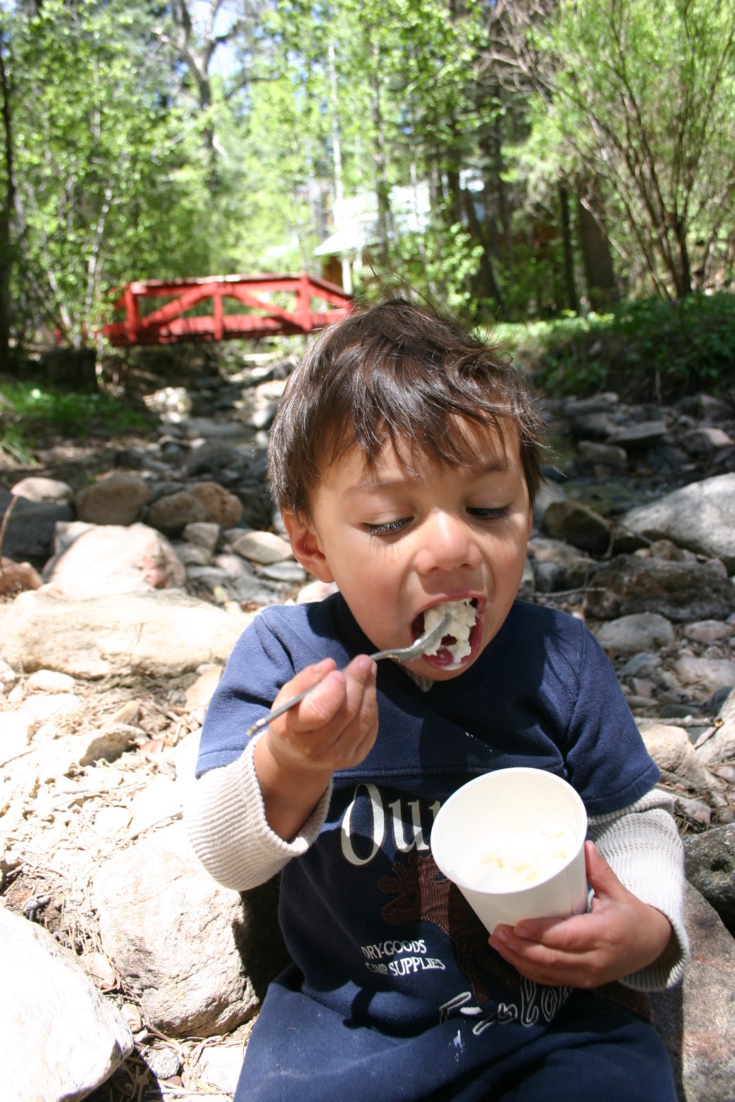 Great Scott WHAT'S FOR DESSERT? HOMEMADE ICE CREAM IN A ZIPLOC BAG