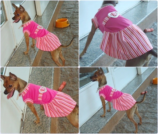 http://2.bp.blogspot.com/-z8WjyU9loEI/T1UONkVgsmI/AAAAAAAAGlg/boTDhr7E3RU/s1600/vestido%2Brosa%2Btogdog.jpg