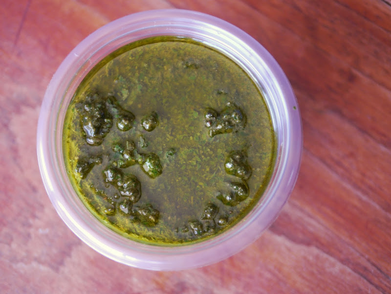 Basil Freezing Recipe by Backwoods Mama Josée Bergeron