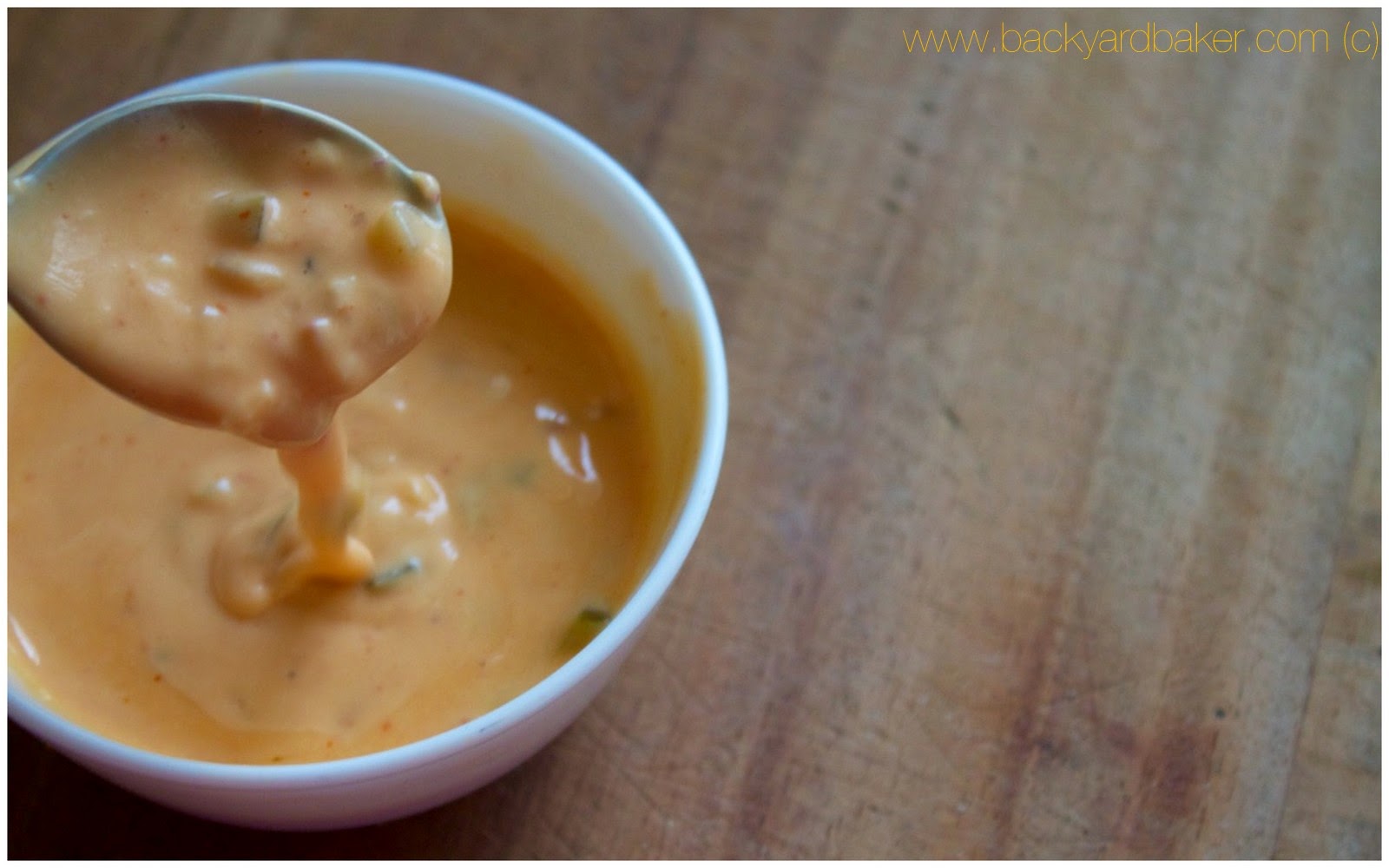 Condiment Series Thousand Island Dip Dip