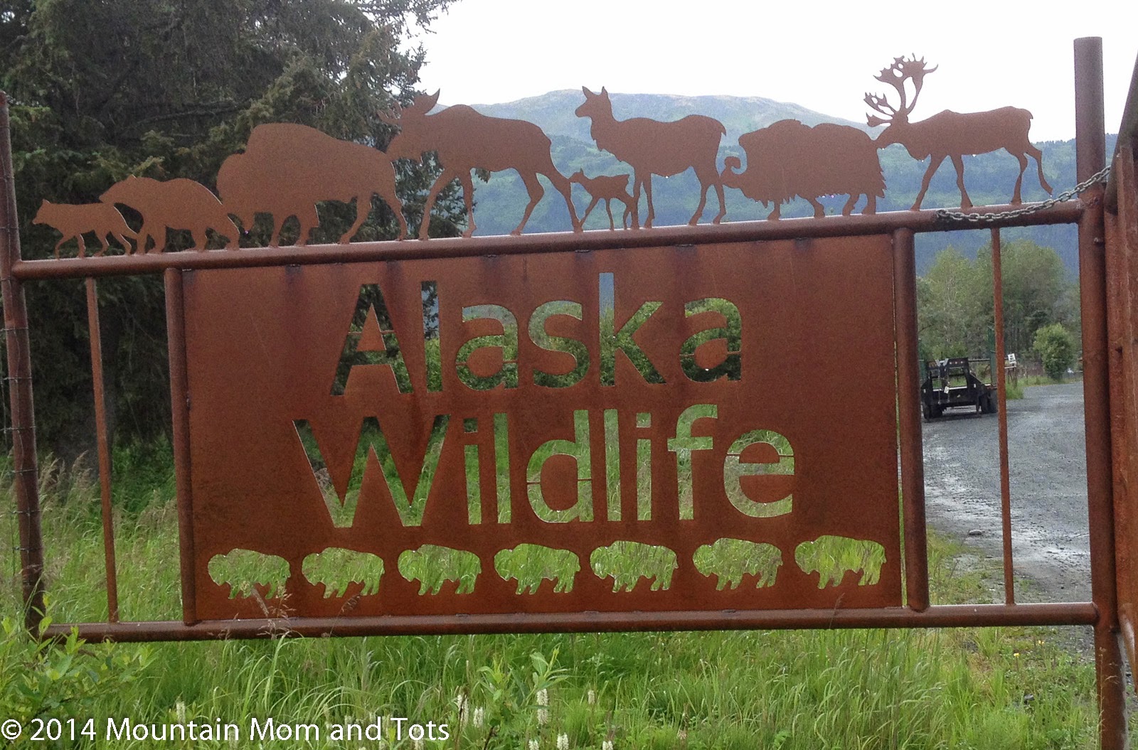 Alaska Wildlife Conservation Center, Kenai Peninsula, Alaska - Mountain