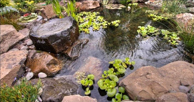 Garden Pool for Kids Playground