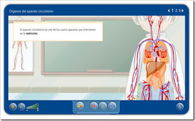 http://repositorio.educa.jccm.es/portal/odes/conocimiento_del_medio/el_aparato_circulatorio_humano/contenido/cm02_oa01_es/index.html