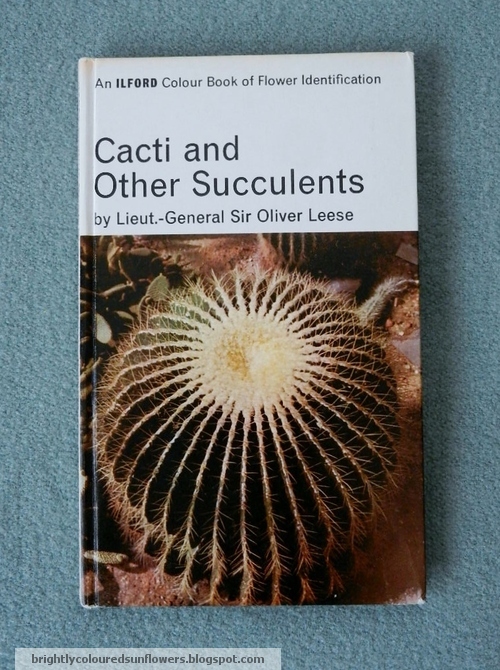 brightly coloured sunflowers Cacti and Other Succulents by Lieut