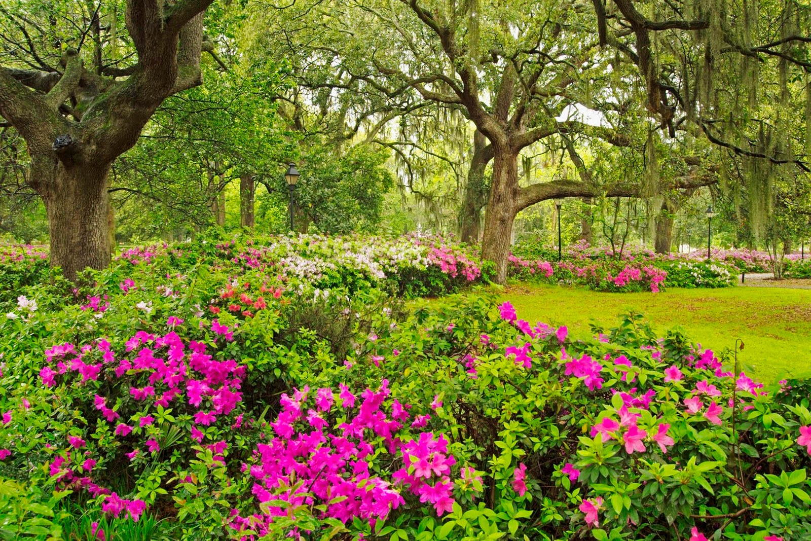 Beautiful Flower Garden Wallpaper Beautiful Flower Garden Wallpaper