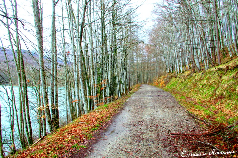 Pista-Embalse-Irabia.jpg