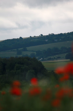 la photo du 13 juin 2012 1265