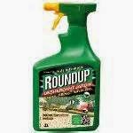 le désherbant Roundup de Monsanto Roundup de Monsanto