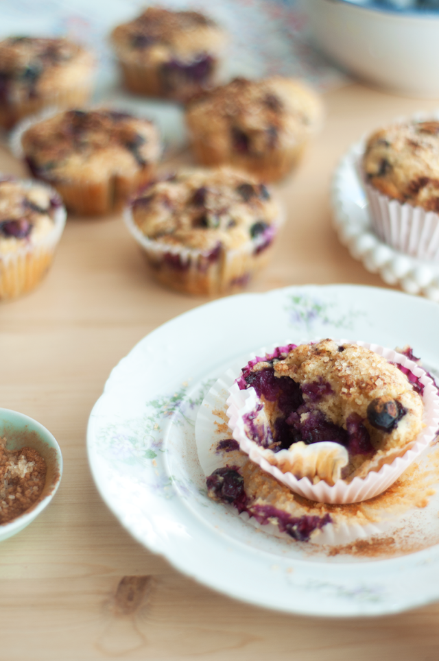 Marshalls Abroad Blueberry Lemon Yogurt Muffins with Cinnamon Sugar