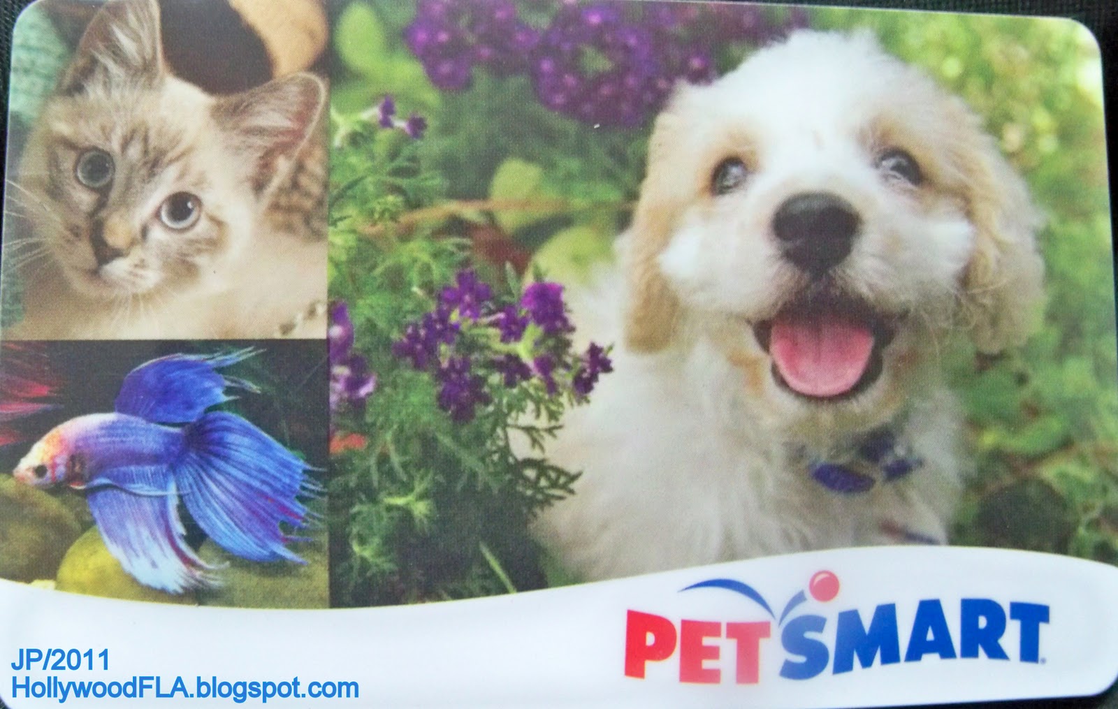 Hollywood Florida Broward Dr Hospital Casino Restaurant Attorney Bank Fire Dept Store Beach Hotel Pet Smart Store Hollywood Florida Oakwood Blvd Gift Card Pet Smart Animal Supply Store Dogs Cats Fish Birds Pet Shop