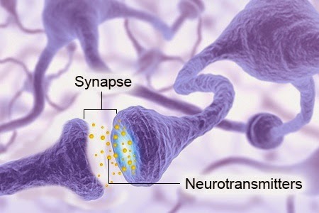 neurotransmitters-and-synapse.jpg