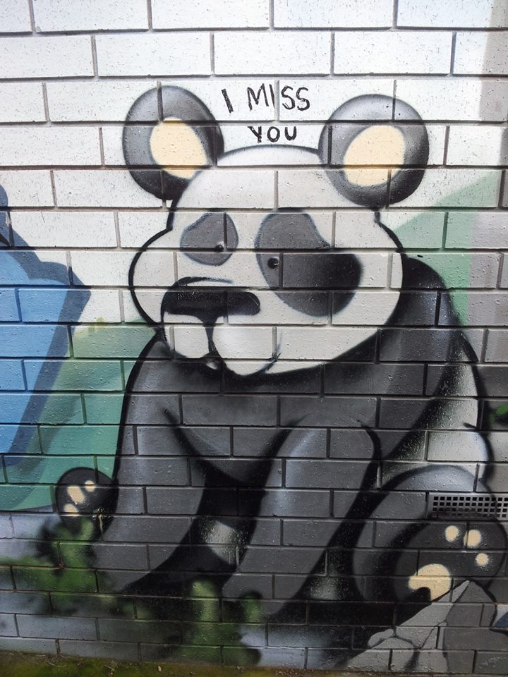 Aofburda Graffiti Animal Graffiti 3d Dragon Wallpaper