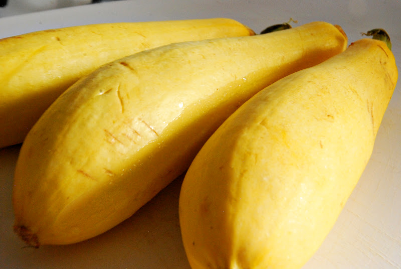 Dogs Eat Sweet Potato Or Squash Dogs Eat Sweet Potato Or Squash