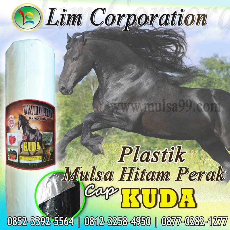 jual plastik mulsa hitam perak mphp cap kuda kualitas jual plastik mulsa hitam perak mphp cap kuda kualitas
