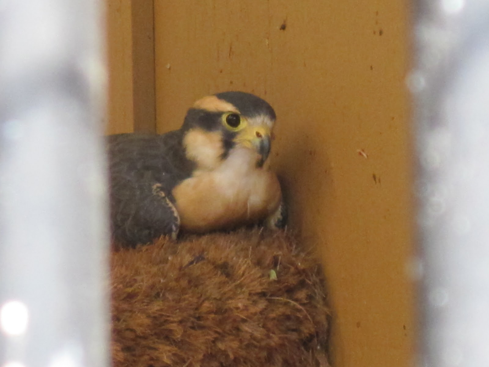 Becca's Backyard My Trip to Idaho