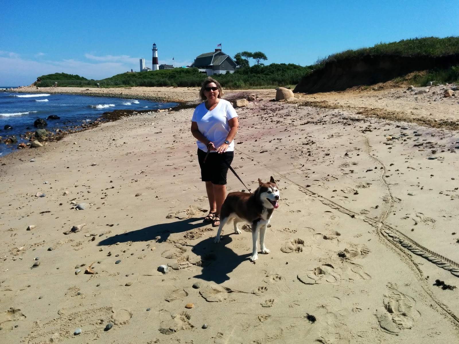 Dogs Luv Us and We Luv Them 100 Places To See With Your Dog Montauk