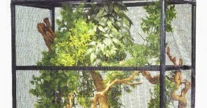 [reptile-one-bearded-dragon-starter-kit-image-2]