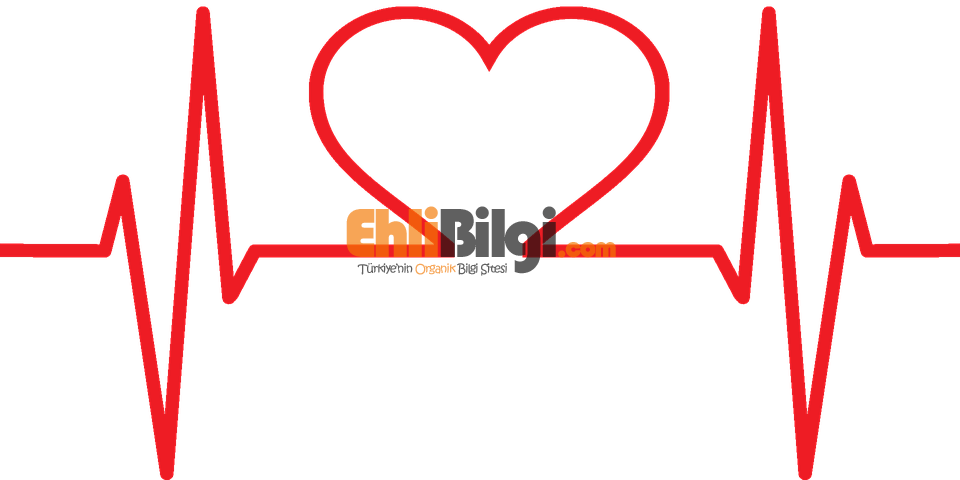 Kalbe Yararli Ve Zararli Yiyecekler Serdar Torlak