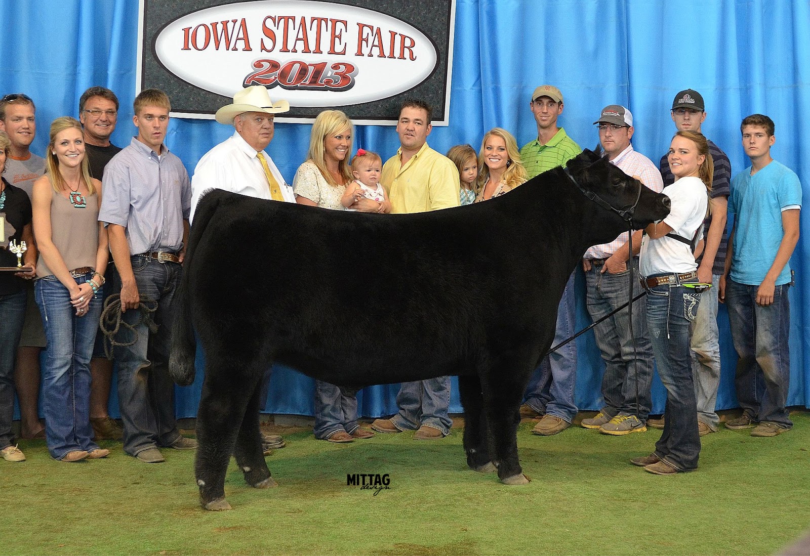 MITTAG Blog Iowa State Fair 4H Top 5 Steers