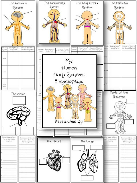 Life, Love, Literacy: Human Body Systems-Ready to Teach!