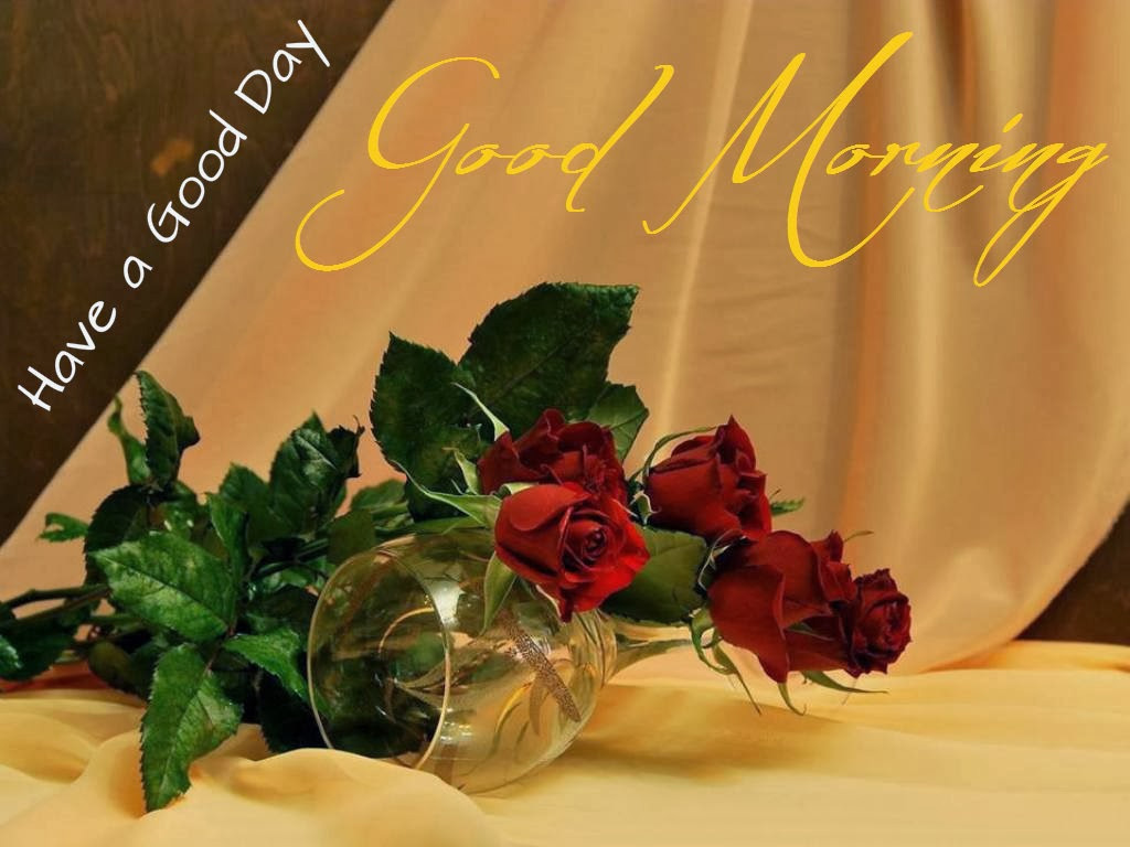 Nite People The Morning Sun Nite People The Morning Sun