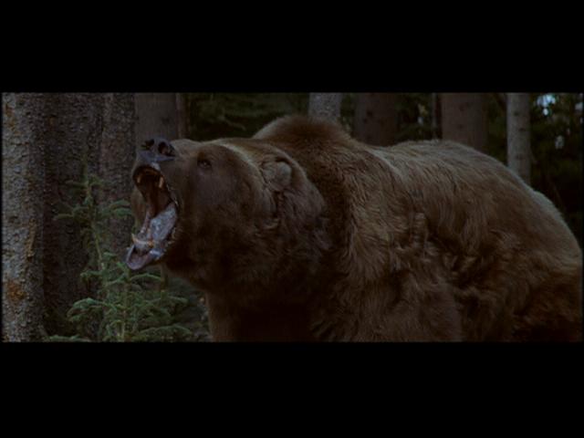 B/X BLACKRAZOR: Sometimes the bear goes hungry...