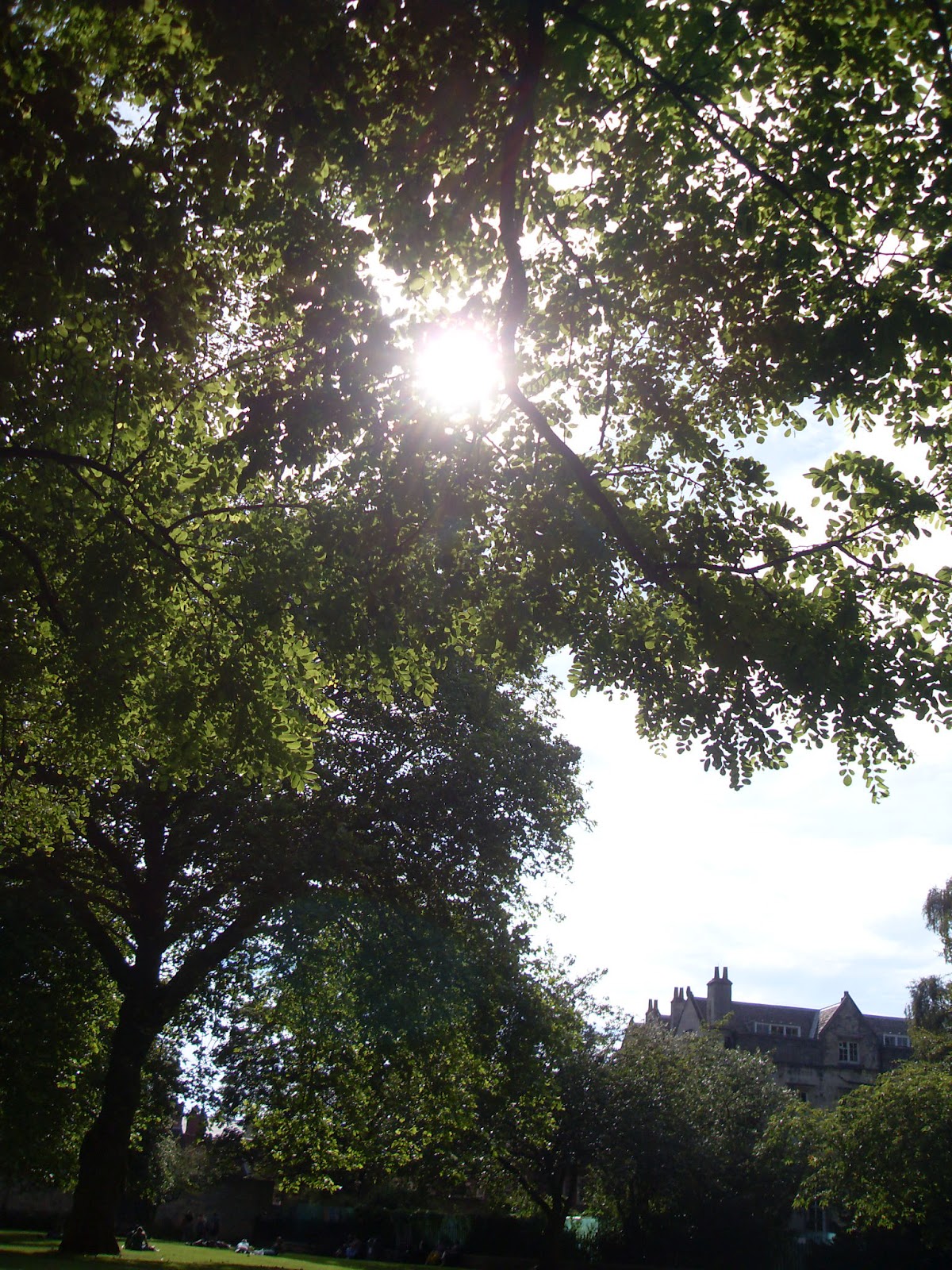 My Albion Under the Greenwood Tree