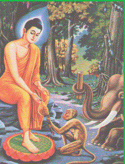 Gambar Buddha