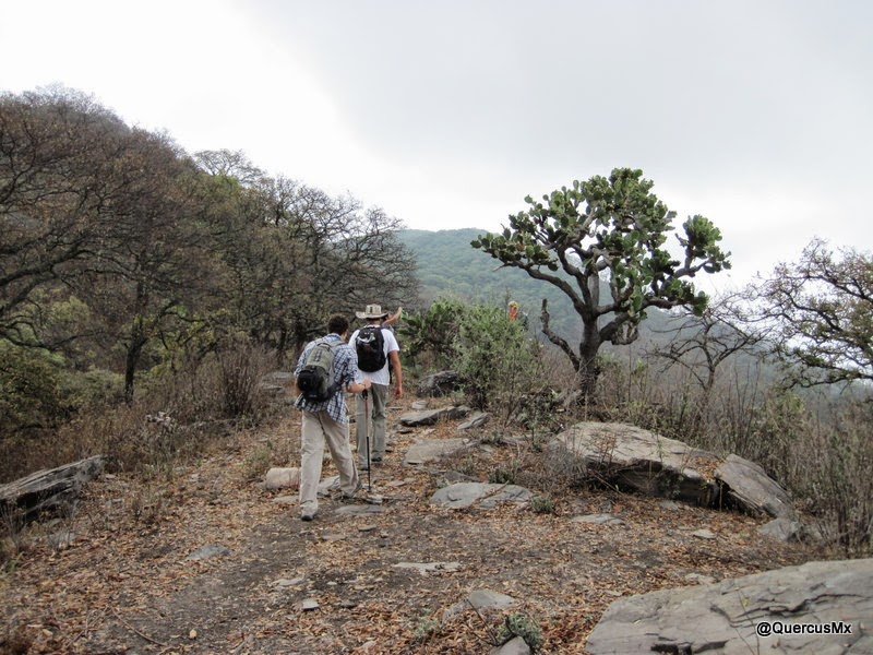 Caminando sobre la Sierra del Tecuán, cerca a la Sierra del Travesaño
