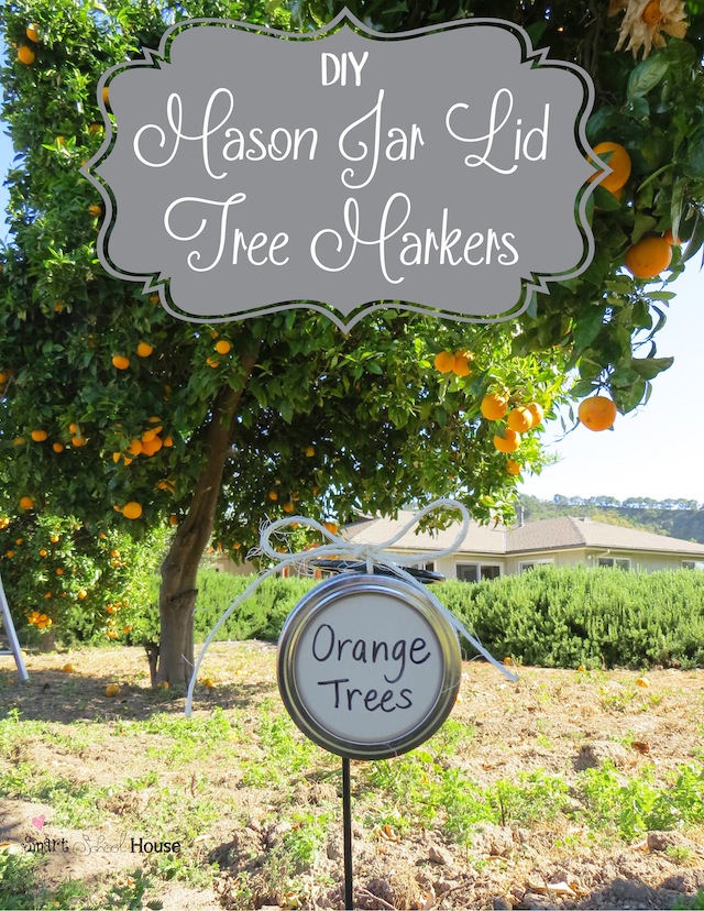 DIY Mason Jar Lid Tree Markers Project