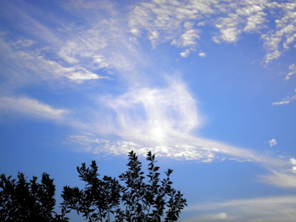 Naqsh Naqshbandiyah Akademi Quran Sunnah Hadits Ogos 2011 Naqsh Naqshbandiyah Akademi Quran Sunnah Hadits Ogos 2011