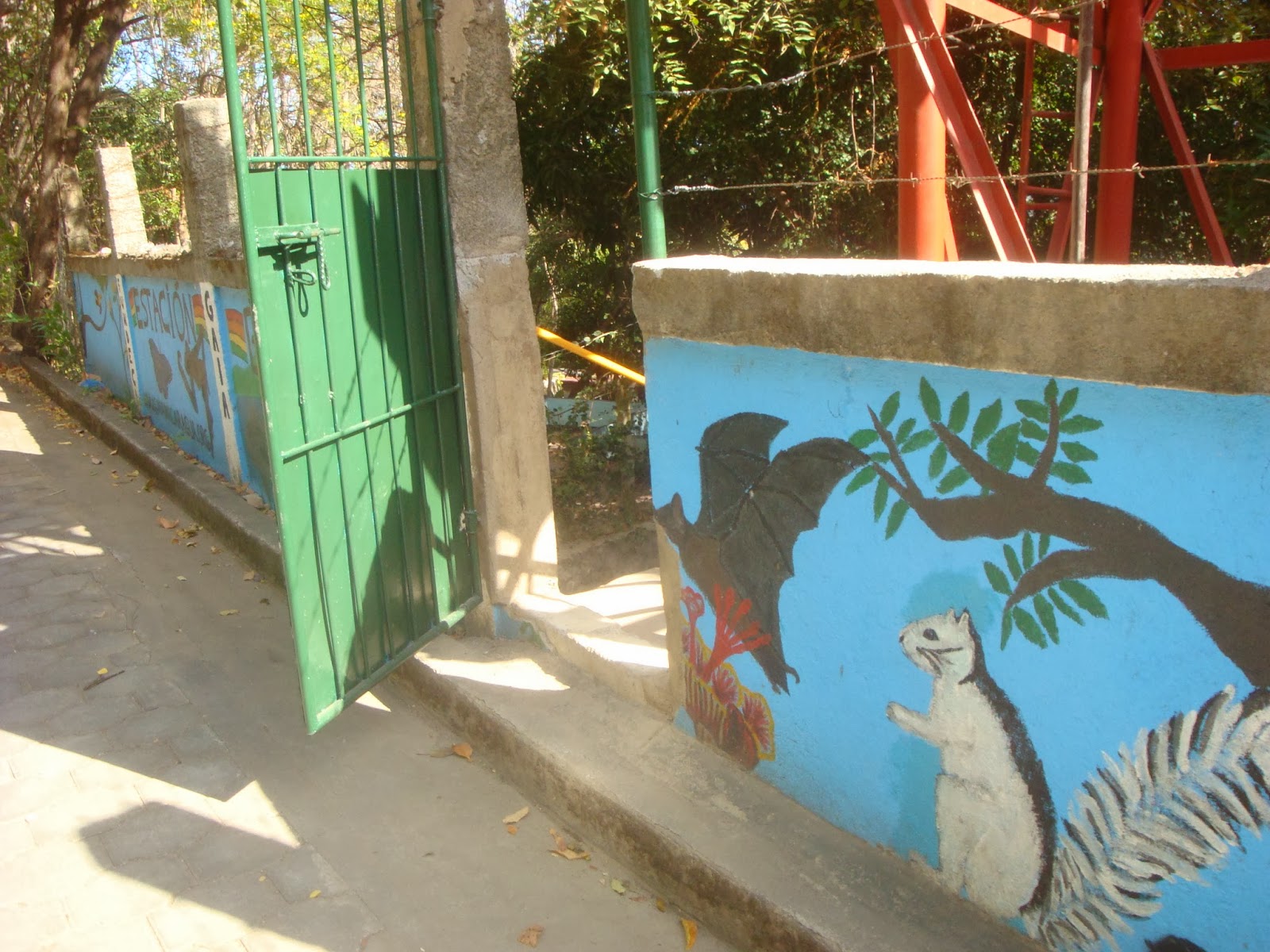 volunteer in Nicaragua conservation science