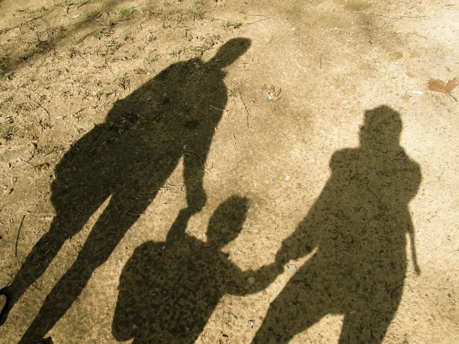 Family Shadow