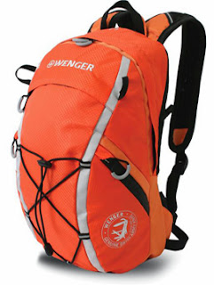 Wenger Zermatt backpack