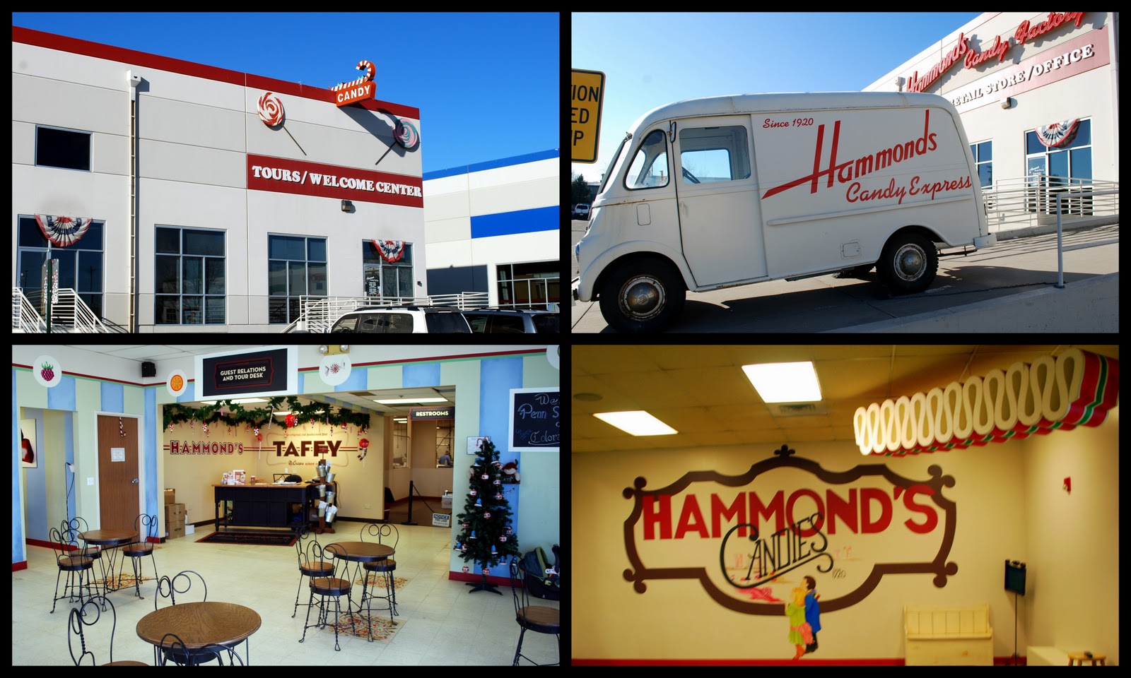 Mille Fiori Favoriti The Hammond's Candy Factory