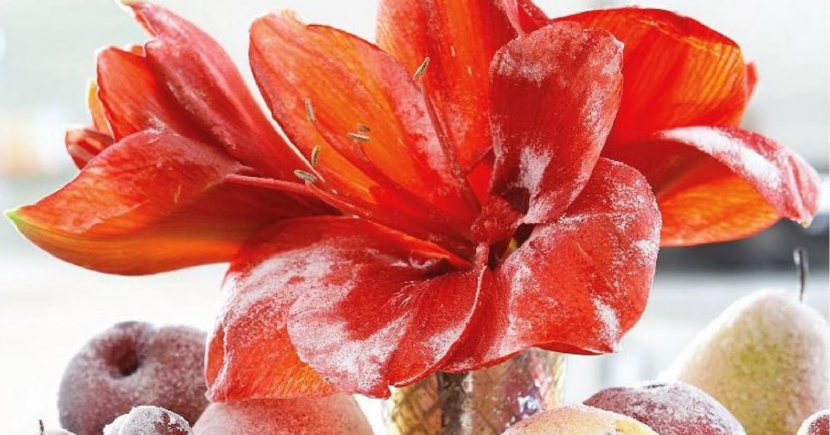 "Frosted" Fruits Ideas for Decoration