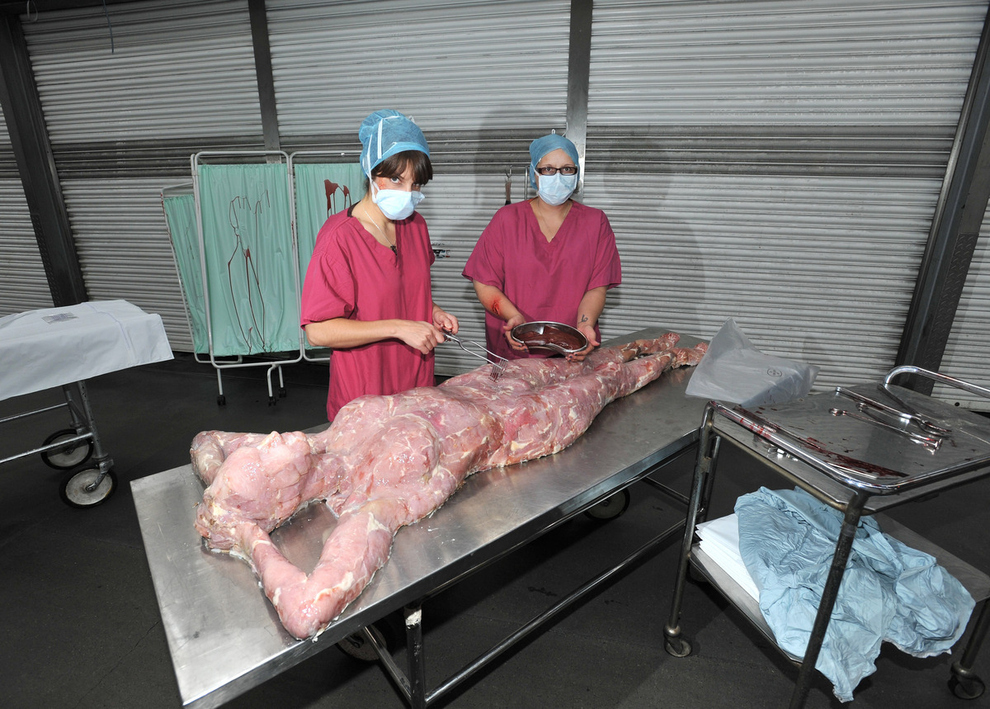 Daging Manusia