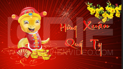 CHÙM THƠ MỪNG XUÂN QUÝ TỴ CỦA TG ĐẶNG QUANG LONG. ~ ĐÔN