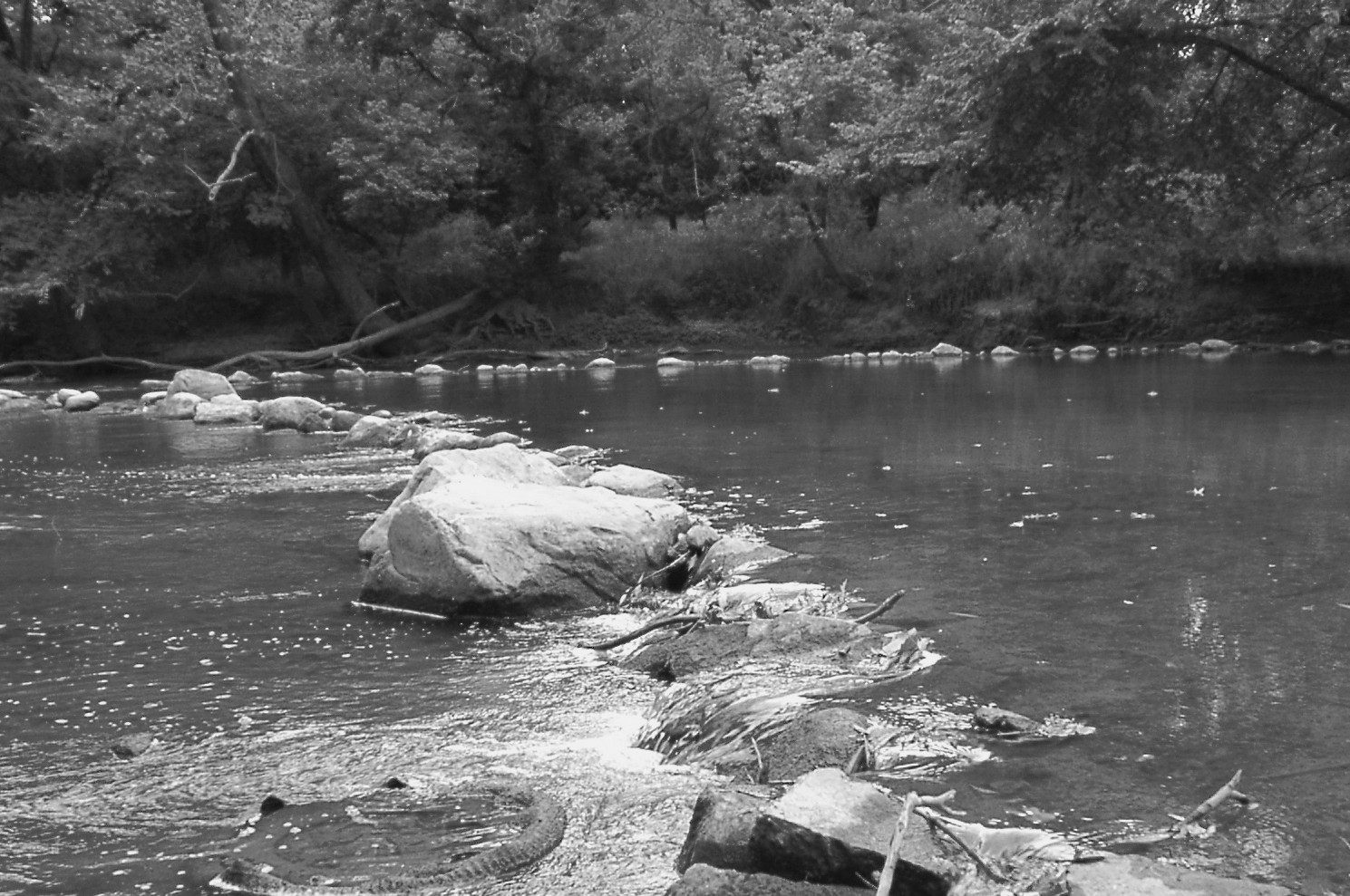 American Indian's History and Photographs Native American Fish Weirs