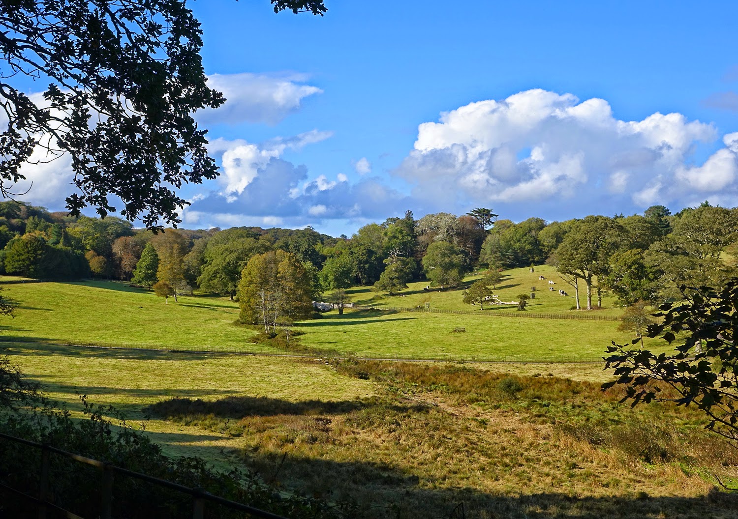 Around Perranuthnoe The National Trust's Penrose Estate