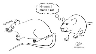 rat smell english smelling